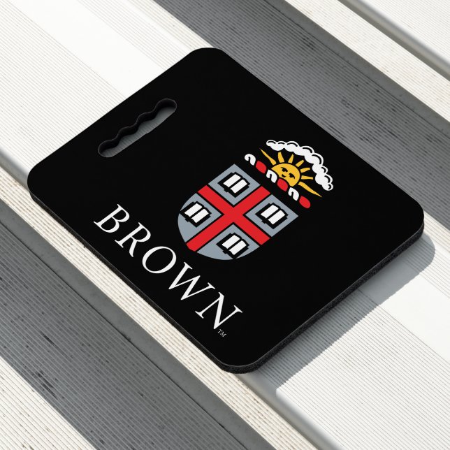 Brown University | Shield Seat Cushion (In Situ)