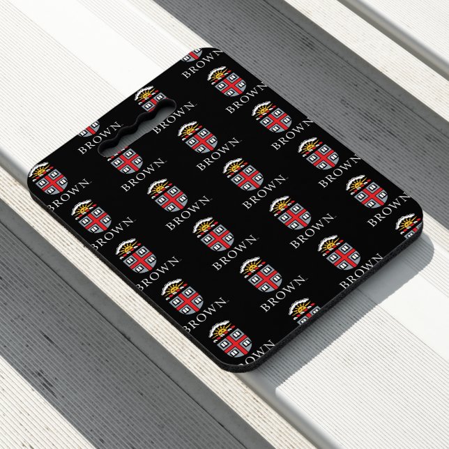 Brown University | Shield Seat Cushion (In Situ)