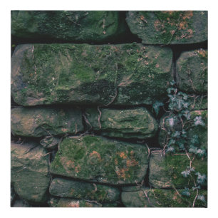 Brown vines on stacked stone blocks faux canvas print