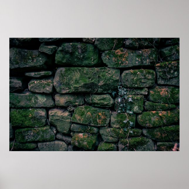 Brown vines on stacked stone blocks poster (Front)