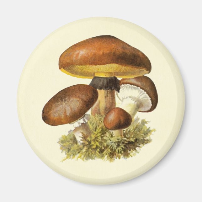 Brown Vintage Mushroom Magnet (Front)