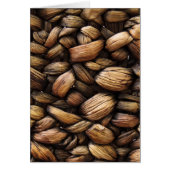 Brown Walnut Shells (Front)