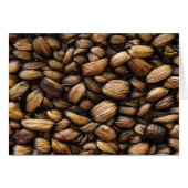 Brown Walnut Shells (Front Horizontal)