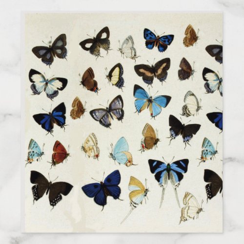 BROWN WHITE BLUE BUTTERFLIES Beauty Nature Lover Envelope Liner