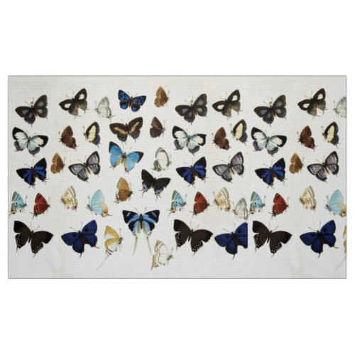 BROWN WHITE BLUE  BUTTERFLIES Beauty Nature Lover Fabric