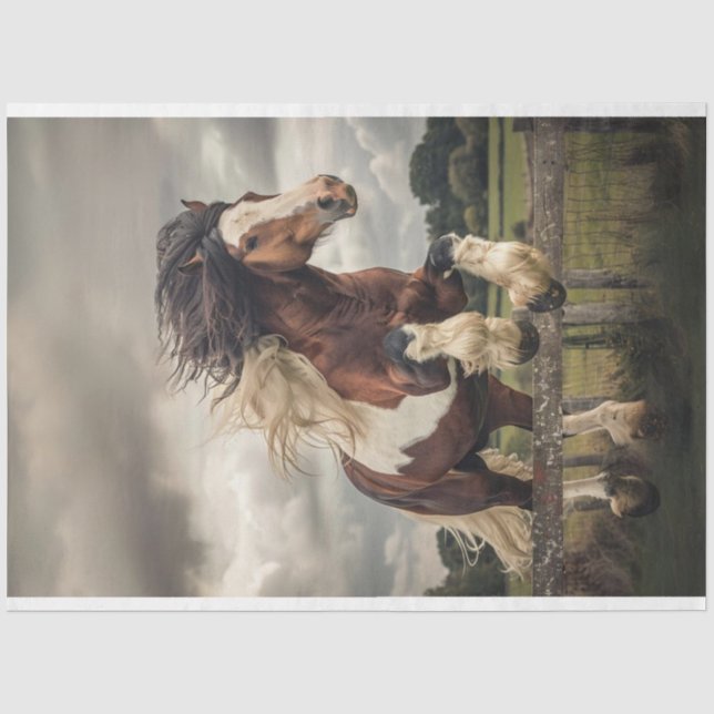Brown White Clydesdale Horse Decoupage  Tissue Paper (Front)