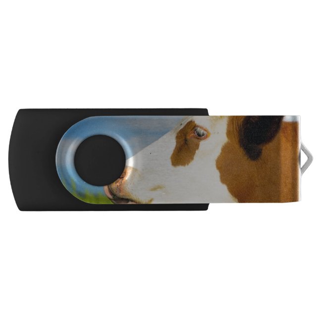 Brown white cow looking straight ahead USB flash drive (Front)