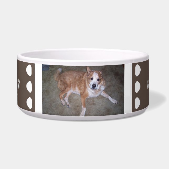 Brown White Dog Photo and Name Paw Prints Bowl (Front)