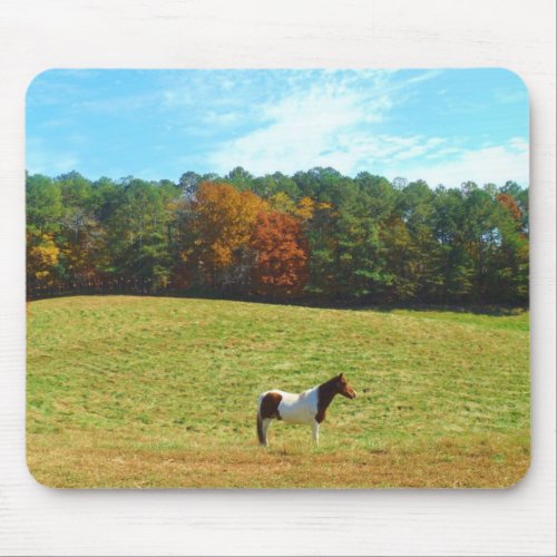 Brown  White horseautumn treesblue sky Mouse Pad