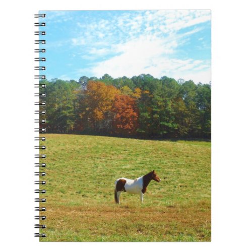 Brown  White horseautumn treesblue sky Notebook