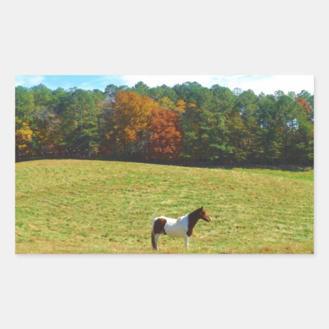 Brown & White horse,autumn trees,blue sky Rectangular Sticker (Front)