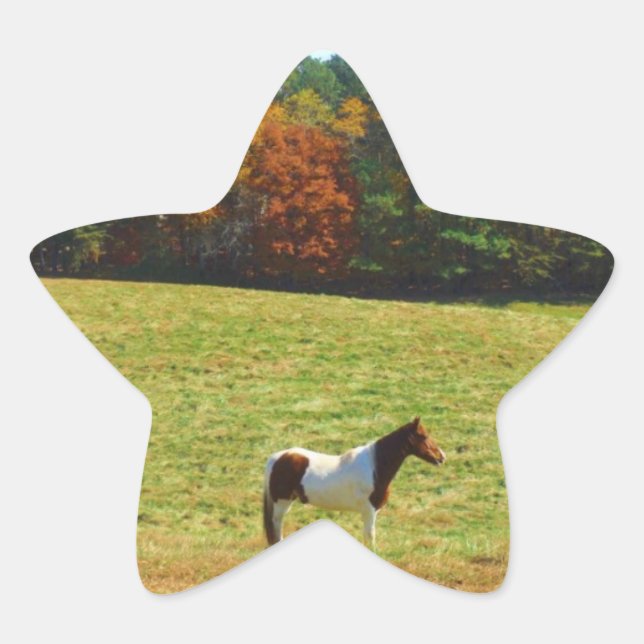 Brown & White horse,autumn trees,blue sky Star Sticker (Front)