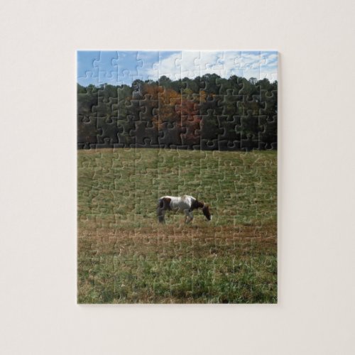 Brown  White horse Jigsaw Puzzle