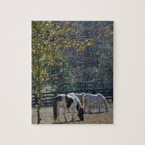 Brown White Painted Horse and Cream Horse Jigsaw Puzzle