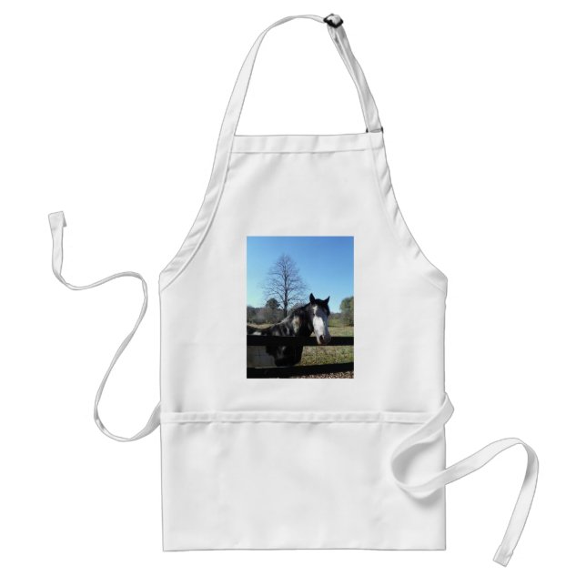 Brown &White, Painted Horse, bright blue sky Adult Apron (Front)