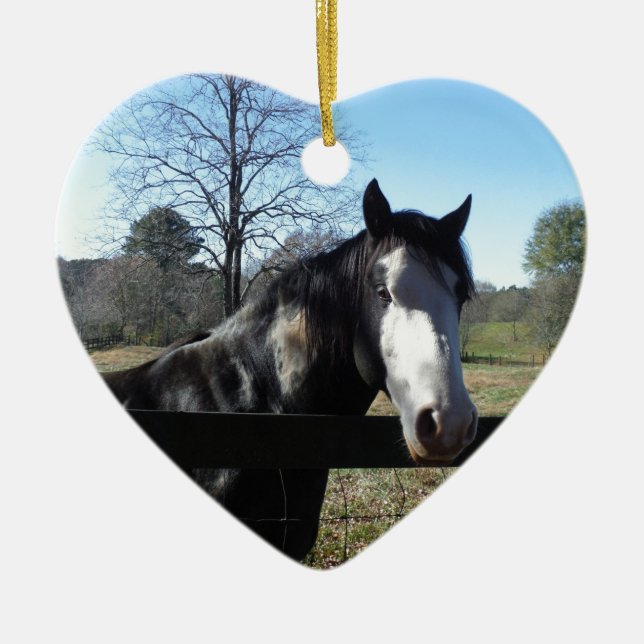 Brown &White, Painted Horse, bright blue sky Ceramic Ornament (Front)