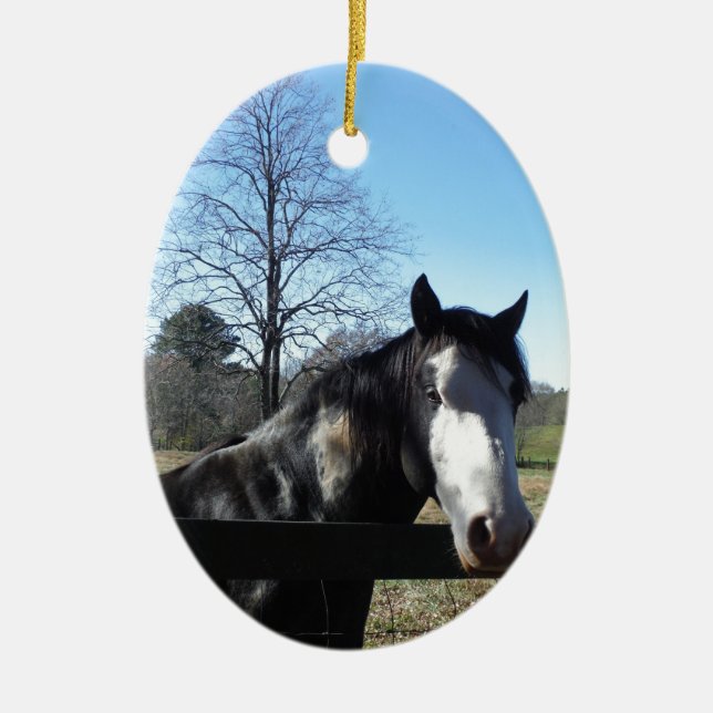 Brown &White, Painted Horse, bright blue sky Ceramic Ornament (Front)