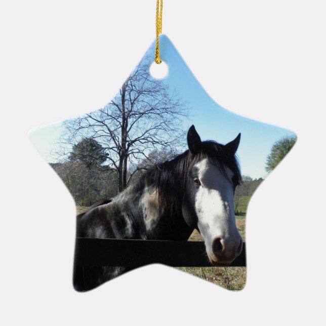 Brown &White, Painted Horse, bright blue sky Ceramic Ornament (Front)