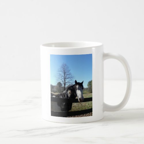 Brown White Painted Horse bright blue sky Coffee Mug