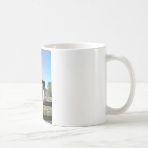 Brown White Painted Horse bright blue sky Coffee Mug