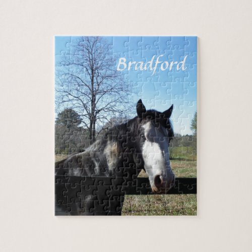 Brown White Painted Horse bright blue sky Jigsaw Puzzle