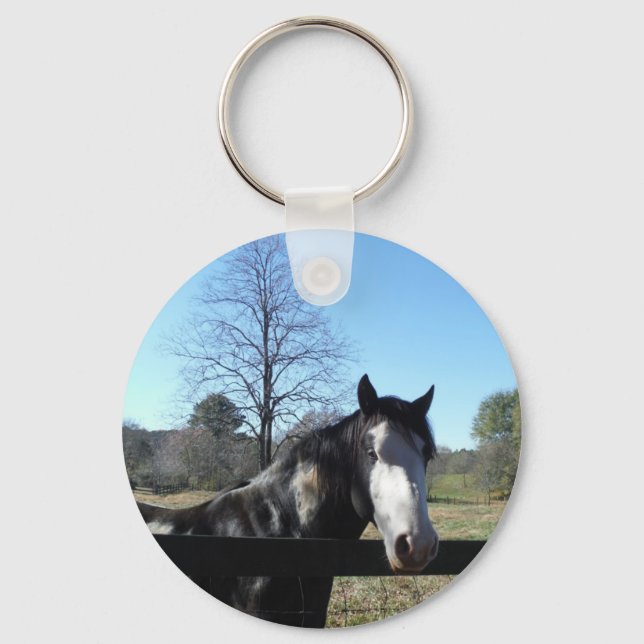 Brown &White, Painted Horse, bright blue sky Keychain (Front)