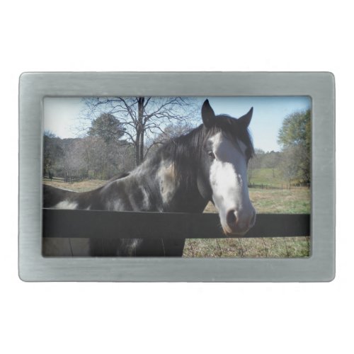 Brown White Painted Horse bright blue sky Rectangular Belt Buckle