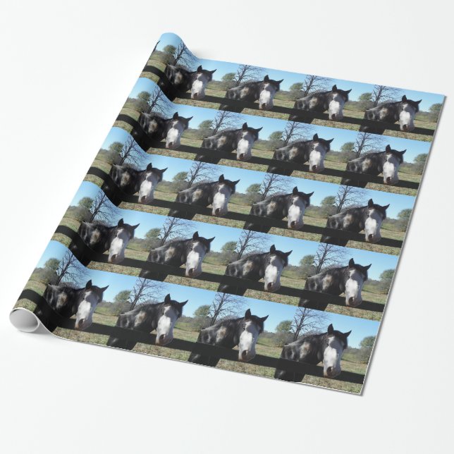 Brown &White, Painted Horse, bright blue sky Wrapping Paper (Unrolled)
