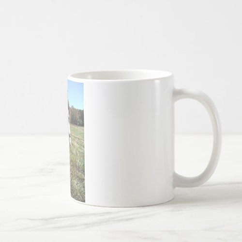 Brown White Painted Horse Queen Ann Lace flower Coffee Mug