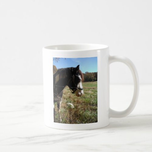 Brown White Painted Horse Queen Ann Lace flower Coffee Mug