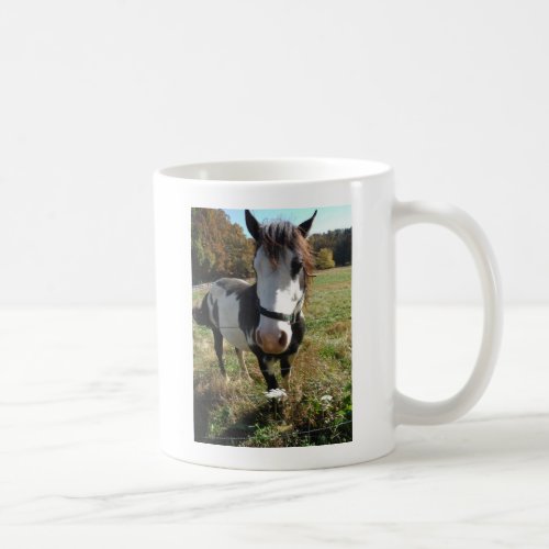 Brown White Painted Horse Queen Ann Lace flower Coffee Mug