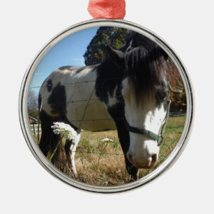 Brown &White, Painted Horse, Queen Ann Lace flower Metal Ornament