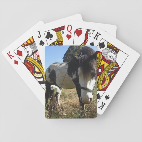 Brown White Painted Horse Queen Ann Lace flower Poker Cards