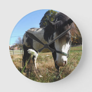 Brown &White, Painted Horse, Queen Ann Lace flower Round Clock
