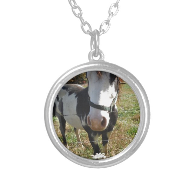 Brown &White, Painted Horse, Queen Ann Lace flower Silver Plated Necklace (Front)