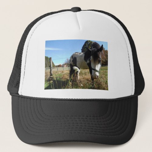 Brown White Painted Horse Queen Ann Lace flower Trucker Hat