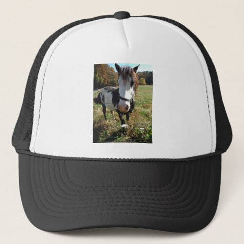 Brown White Painted Horse Queen Ann Lace flower Trucker Hat