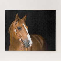 brown and white quarter horse