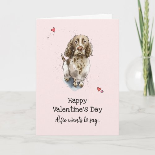 Brown  white Springer Spaniel dog Valentines day Card