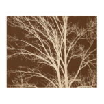 Brown White Tree Branches Wood Wall Art