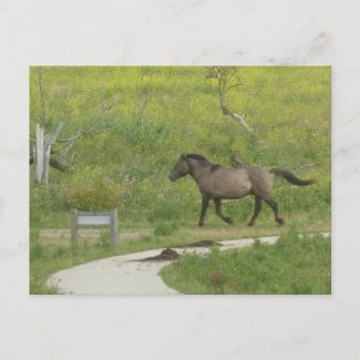 Bruin Wild Paard kruisen Road DIY briefkaart