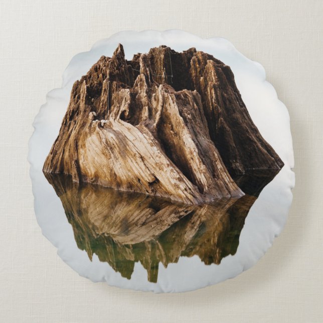 BROWN WOODEN FRAME ROUND PILLOW (Front)