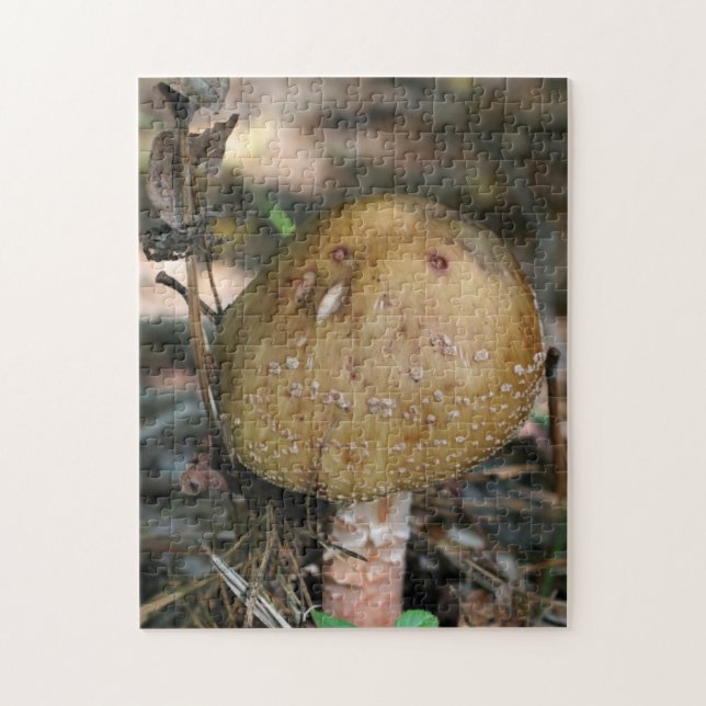 Brown Woodland Mushroom Nature  Jigsaw Puzzle (Vertical)