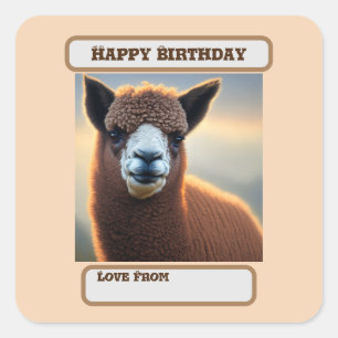 Brown Woolly Alpaca, Birthday Square Sticker