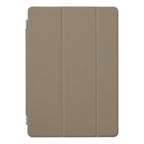  Brownish Grey solid color  iPad Pro Cover