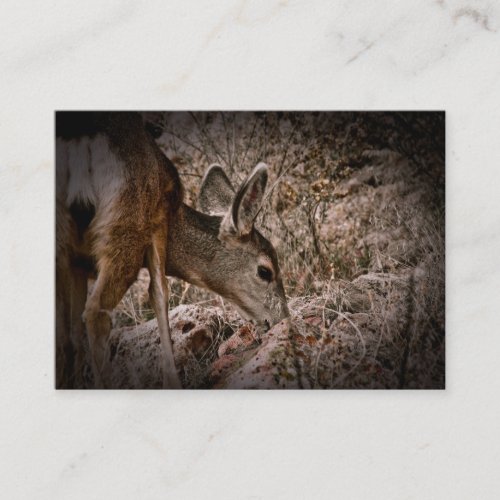 Browsing Deer Wildlife Business Card