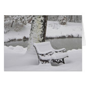 Brrrrr! (Front Horizontal)