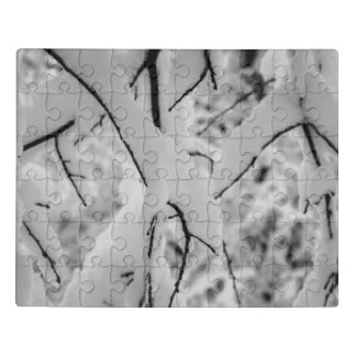 Brrrrr! A Snow Puzzle