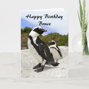 Bruce Happy Birthday African Penguins Humor Card