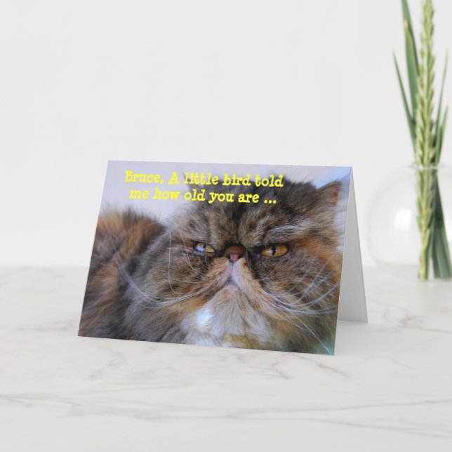 Bruce Happy Birthday Humor Calico Persian Kitty Card (Front)